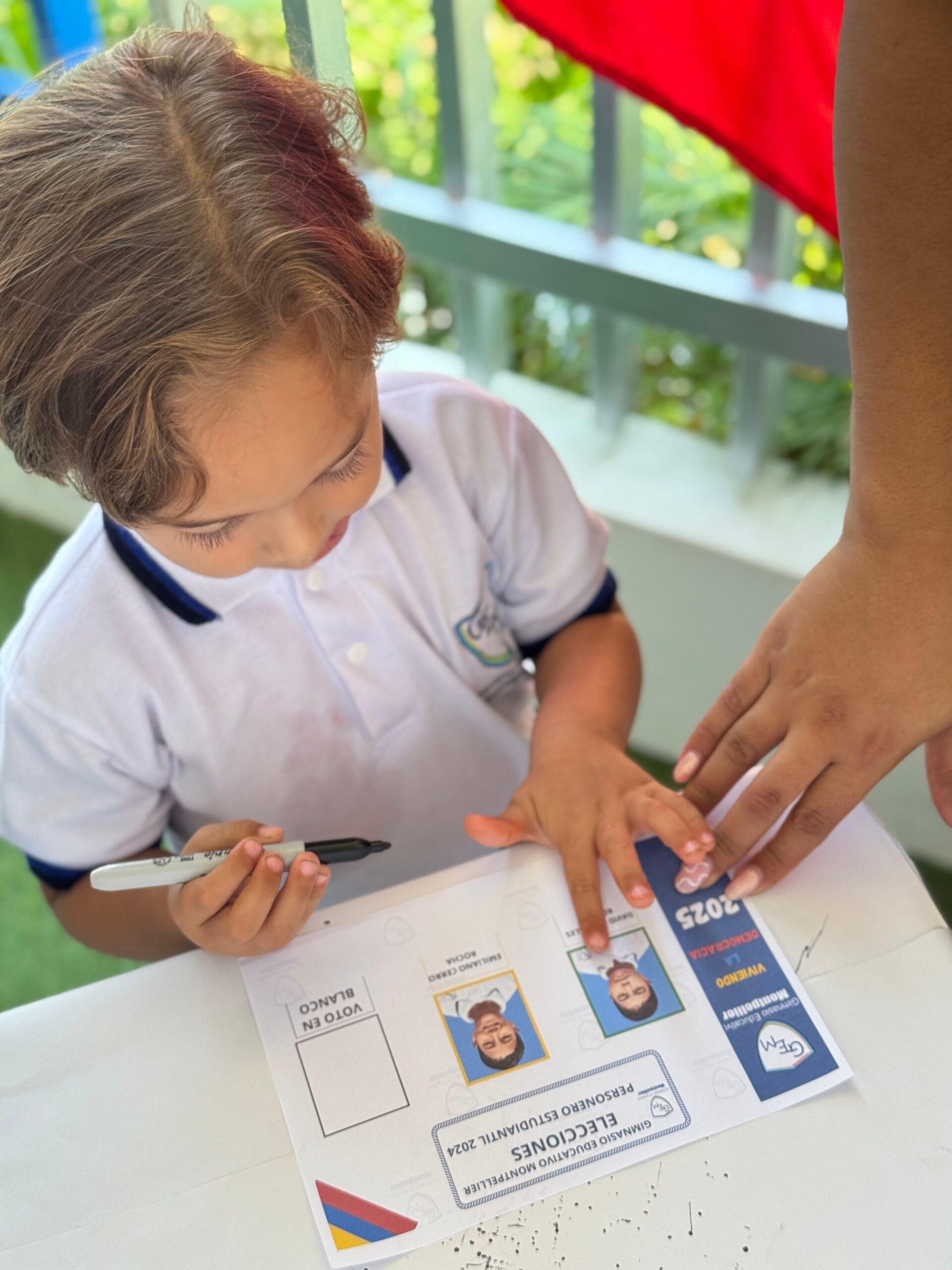 Democracia Participativa