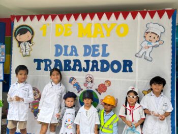 Proyectos Transversales